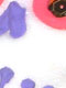 Sugar Skulls
